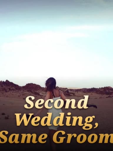 Second Wedding, Same Groom