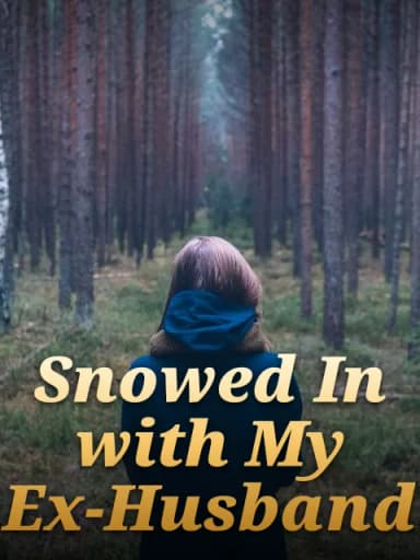 Snowed In with My Ex-Husband