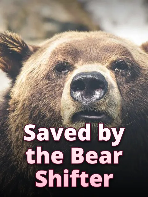 Saved by the Bear Shifter