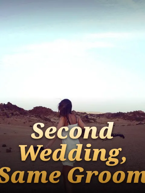 Second Wedding, Same Groom
